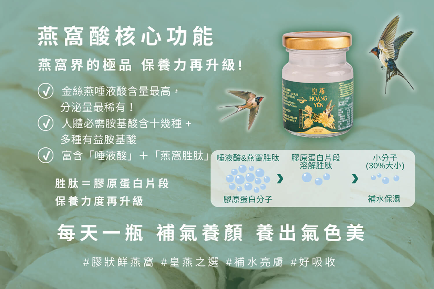 冰糖燕窩-24入/箱-訂閱制 5